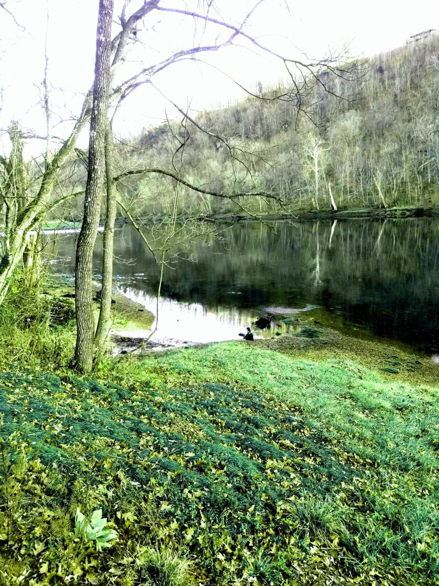 White River Resort Lakeview Buitenkant foto